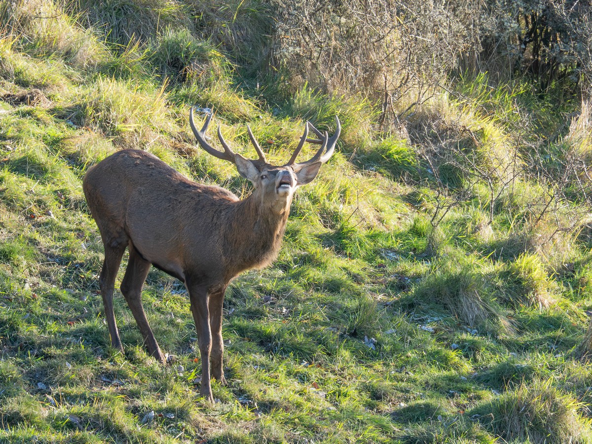 18112025-18 11 25 (23).jpg